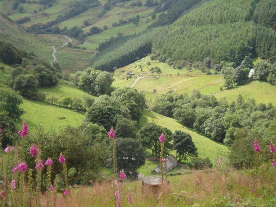 Вилла Glyn Mawr Barn Бэйла Экстерьер фото
